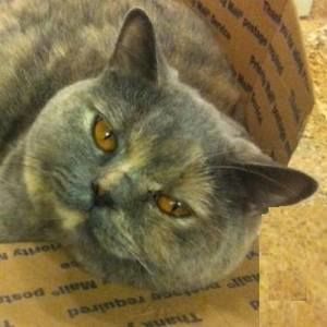 Meet your Posher, Barbara